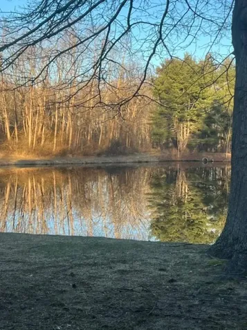 59 Parsons Pond Drive Portland ME 04103
