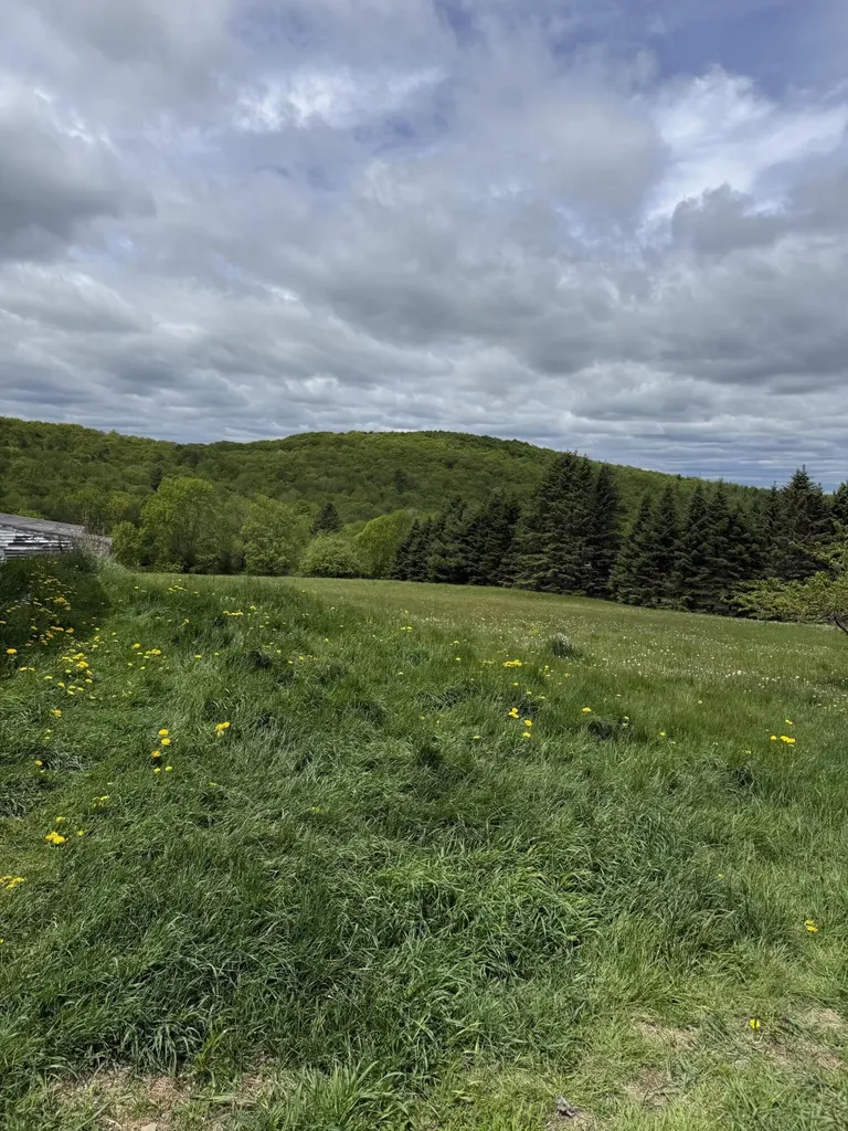 30 Moosehead Trail Dixmont ME 04932