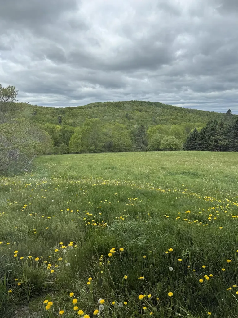 30 Moosehead Trail Dixmont ME 04932