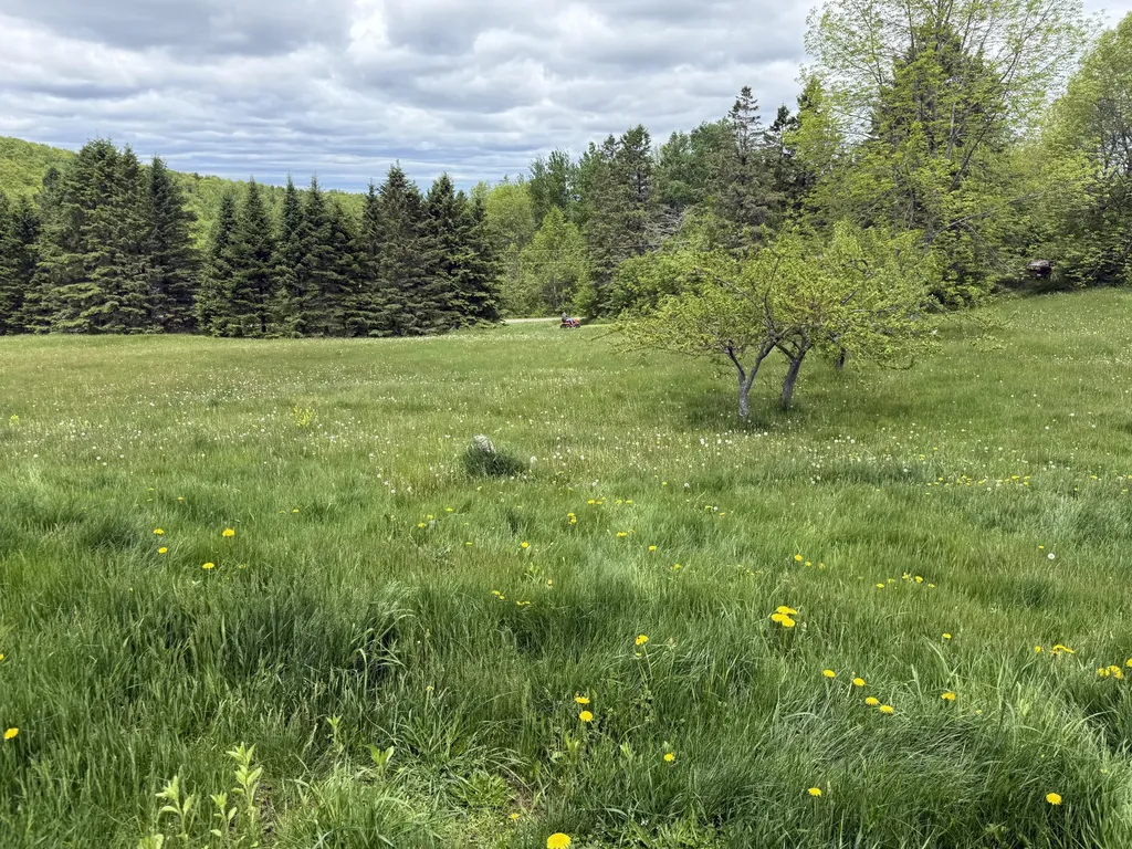 30 Moosehead Trail Dixmont ME 04932
