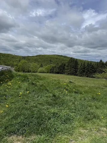 30 Moosehead Trail Dixmont ME 04932
