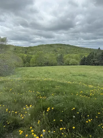 30 Moosehead Trail Dixmont ME 04932
