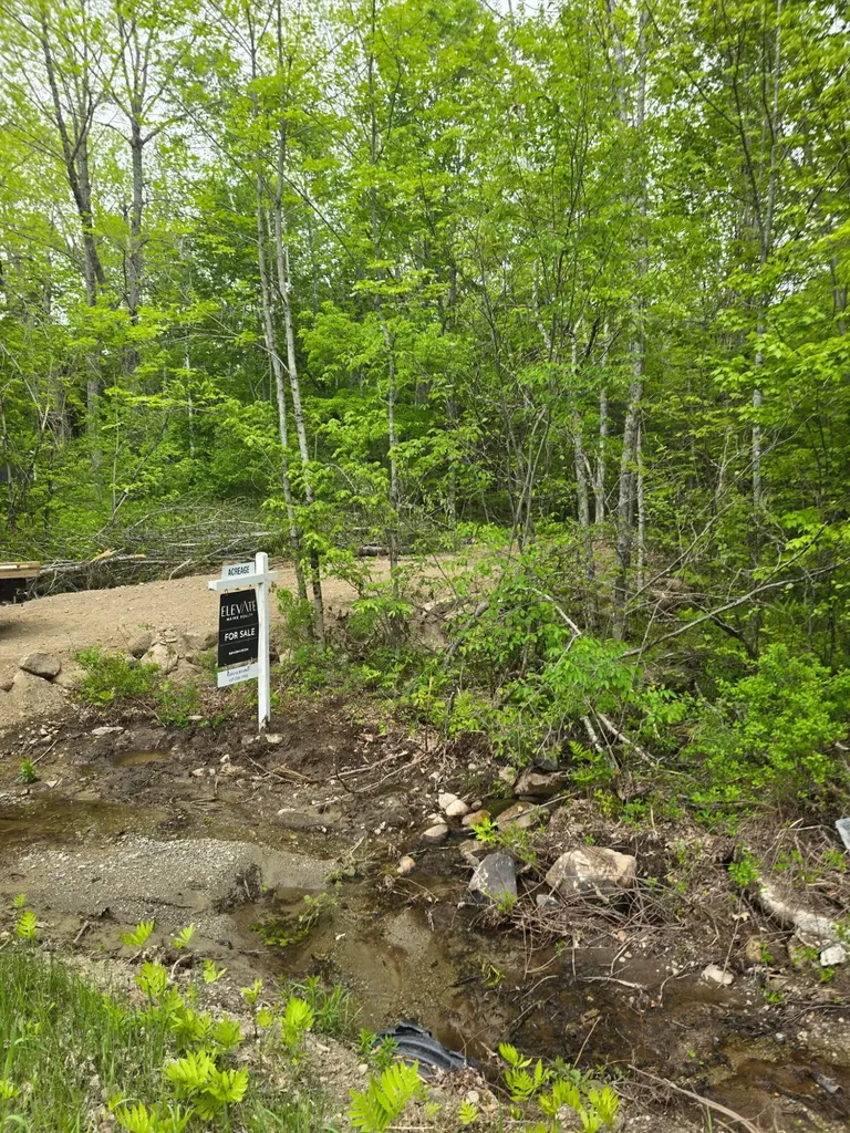 Lot 33 Map 04 Bog Hill Road Searsport ME 04974