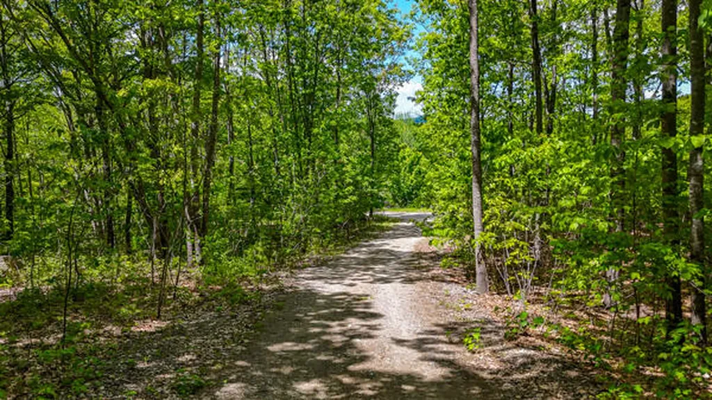 48 Piper Lane Parsonsfield ME 04047