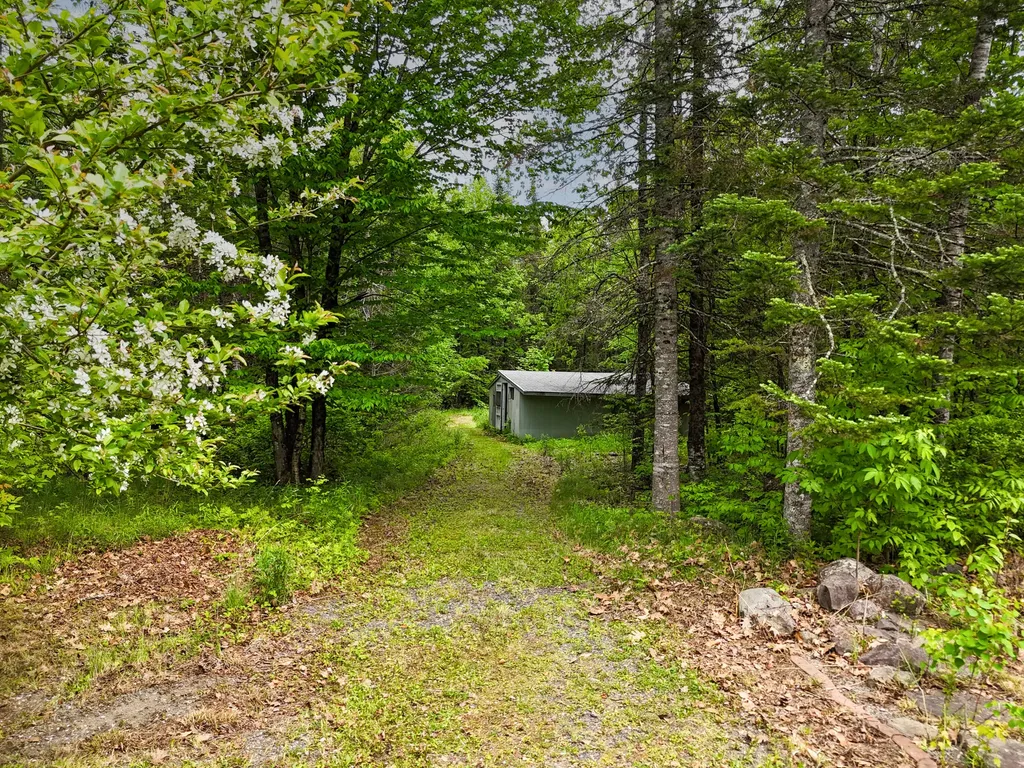 385 Johnson Flat Road Pittsfield ME 04967
