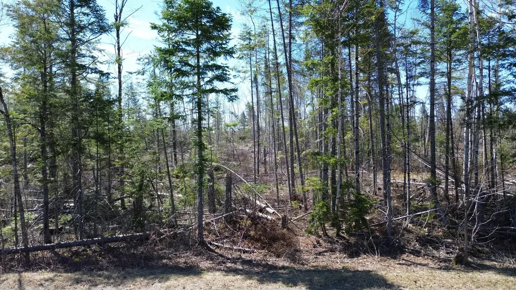 M 1 31c B Road Hammond ME 04730