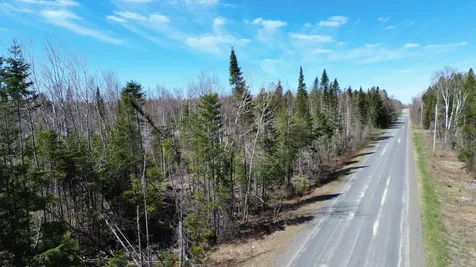 M 1 31c B Road Hammond ME 04730