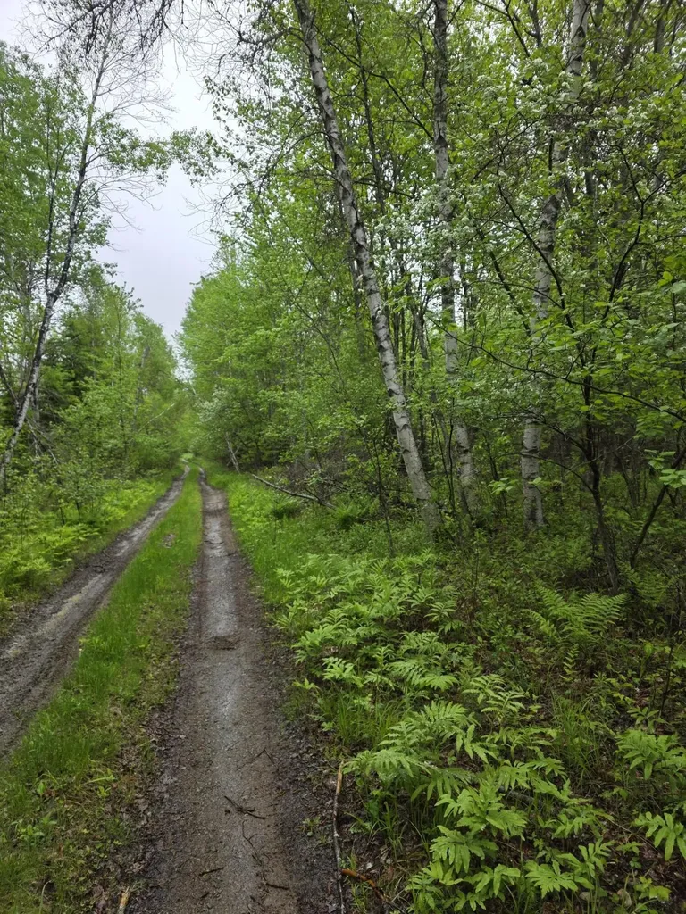 Off Mill Street Kingman Twp ME 04451