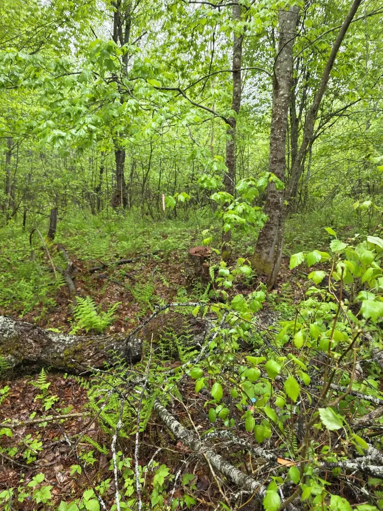 Off Mill Street Kingman Twp ME 04451