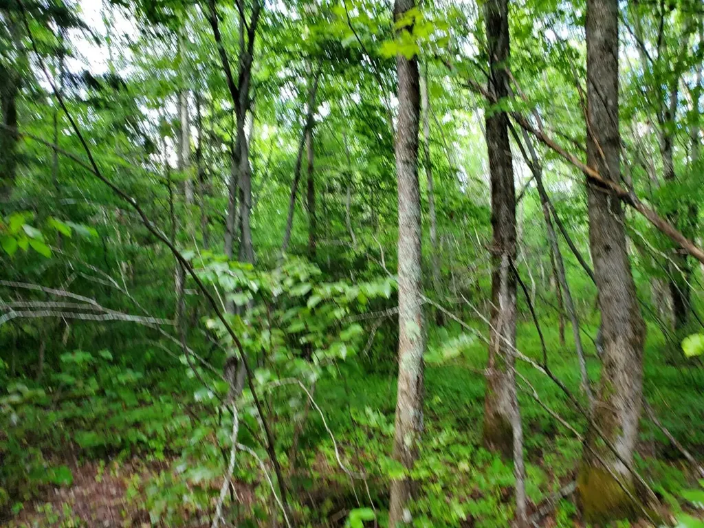 Off Mill Street Kingman Twp ME 04451