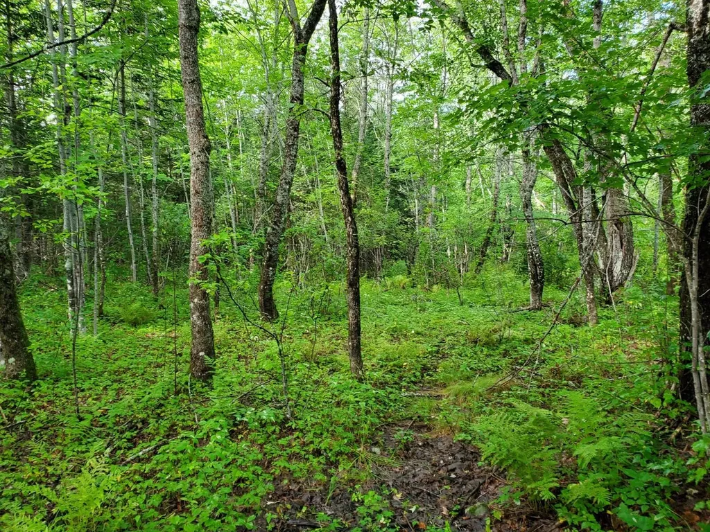 Off Mill Street Kingman Twp ME 04451