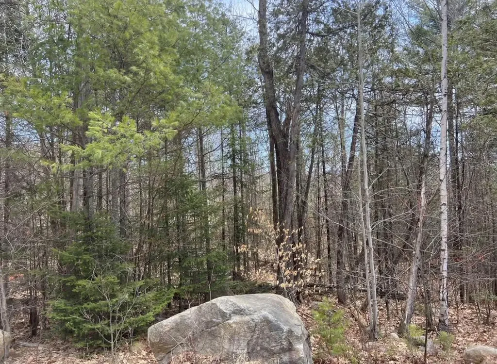 Lot #1 Yawkey Way Woodstock ME 04219