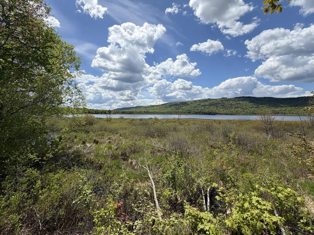 3985 W Chapman Road Chapman ME 04757