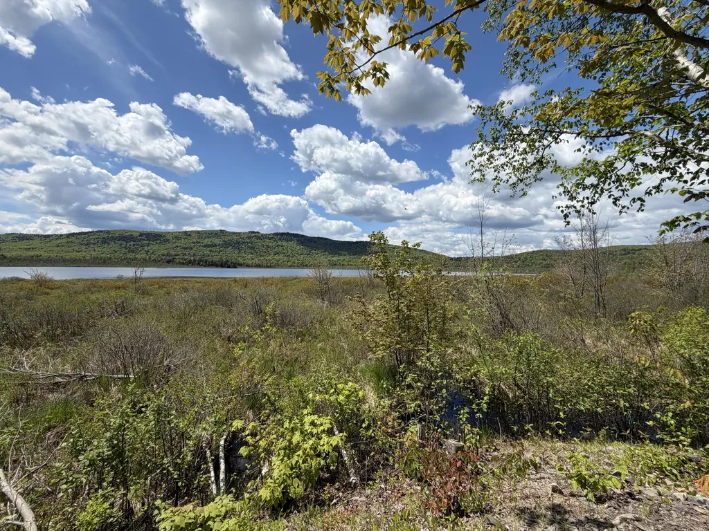 3985 W Chapman Road Chapman ME 04757
