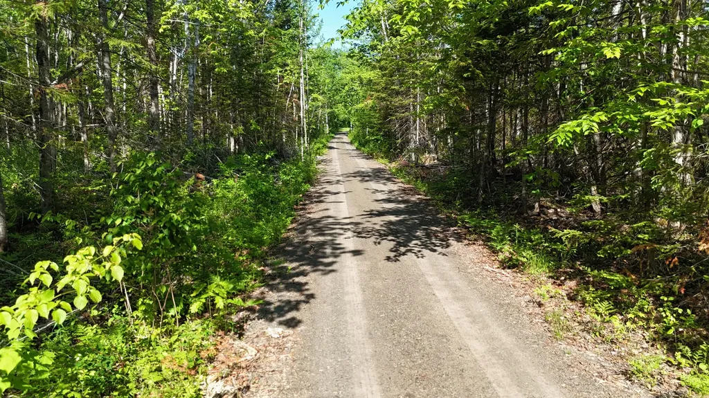 3985 W Chapman Road Chapman ME 04757