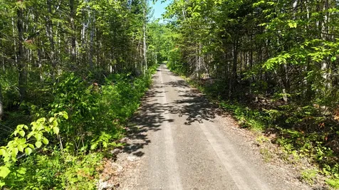 3985 W Chapman Road Chapman ME 04757