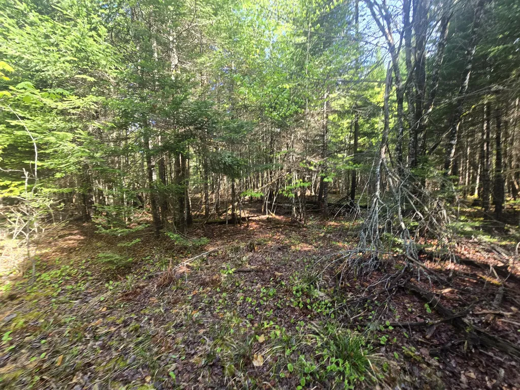 # Private Road Off Merriman Road Island Falls ME 04747