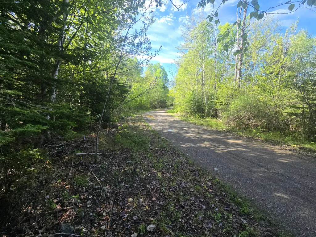 # Private Road Off Merriman Road Island Falls ME 04747