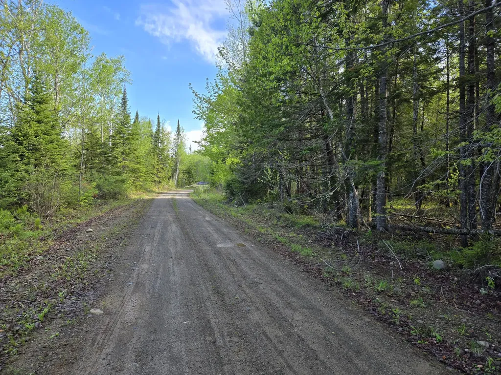 # Private Road Off Merriman Road Island Falls ME 04747