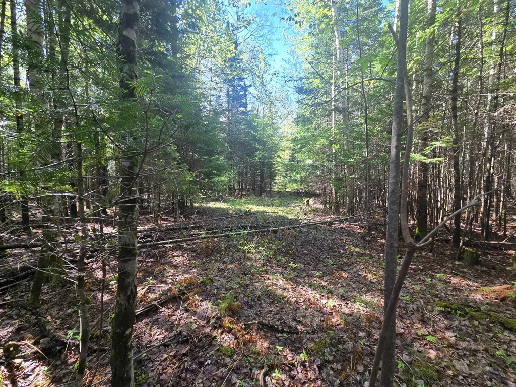 # Private Road Off Merriman Road Island Falls ME 04747