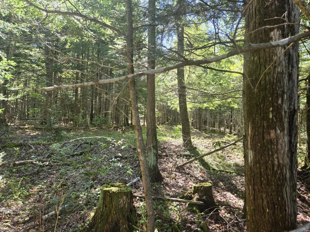 # Private Road Off Merriman Road Island Falls ME 04747