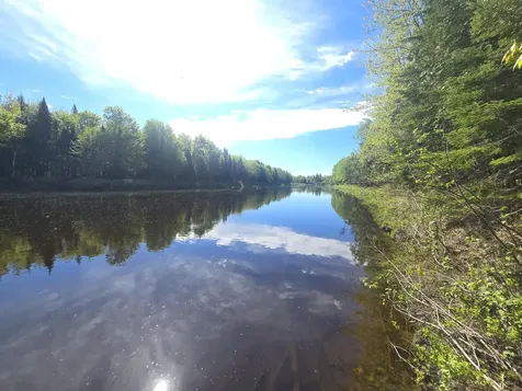 # Private Road Off Merriman Road Island Falls ME 04747