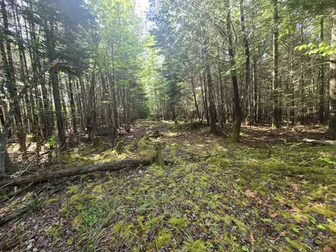 # Private Road Off Merriman Road Island Falls ME 04747