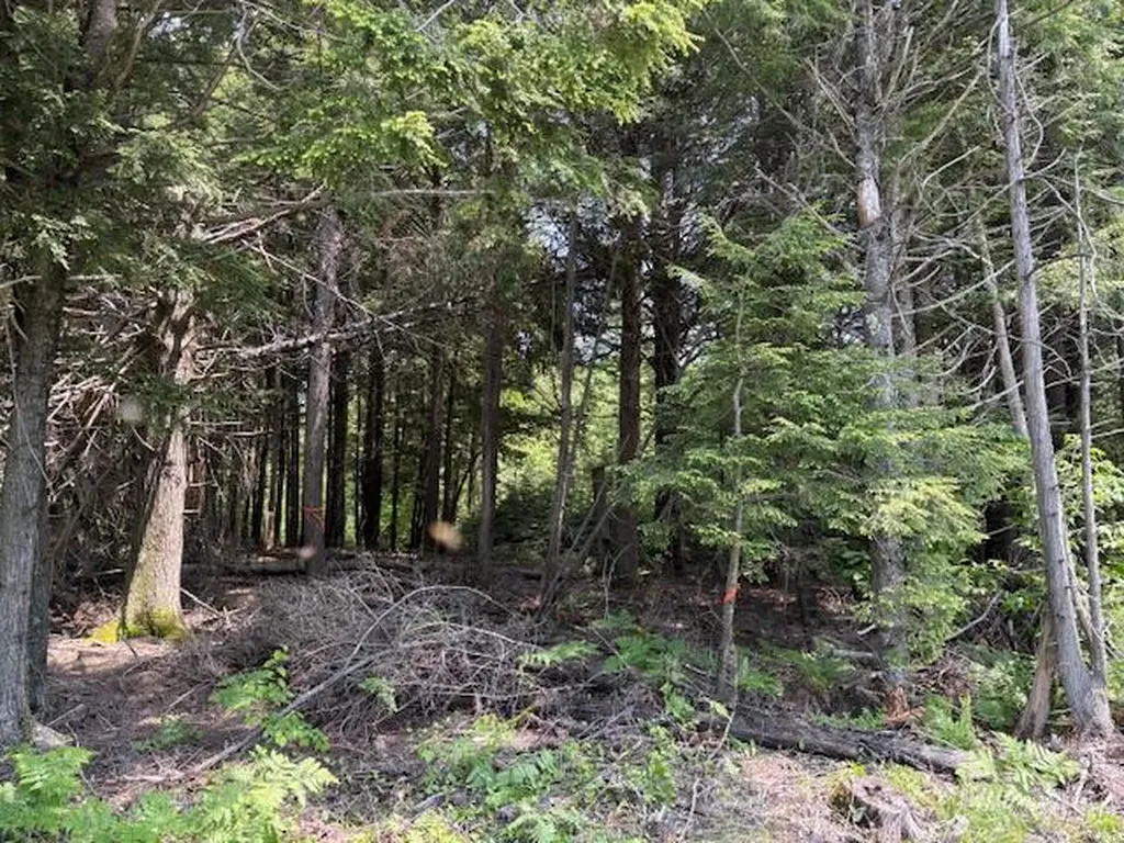 00 Kirkland Road Old Town ME 04468