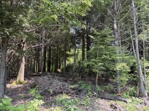 00 Kirkland Road Old Town ME 04468
