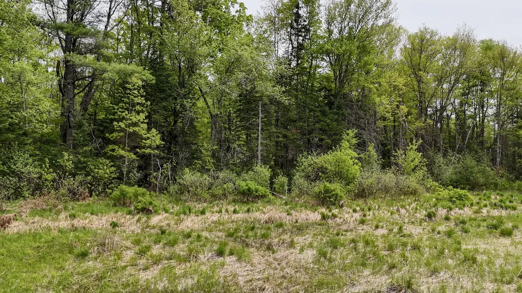 Lot 5 Stream Road Vienna ME 04360