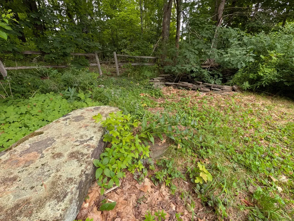 1816 Dexter Road Dover-foxcroft ME 04426