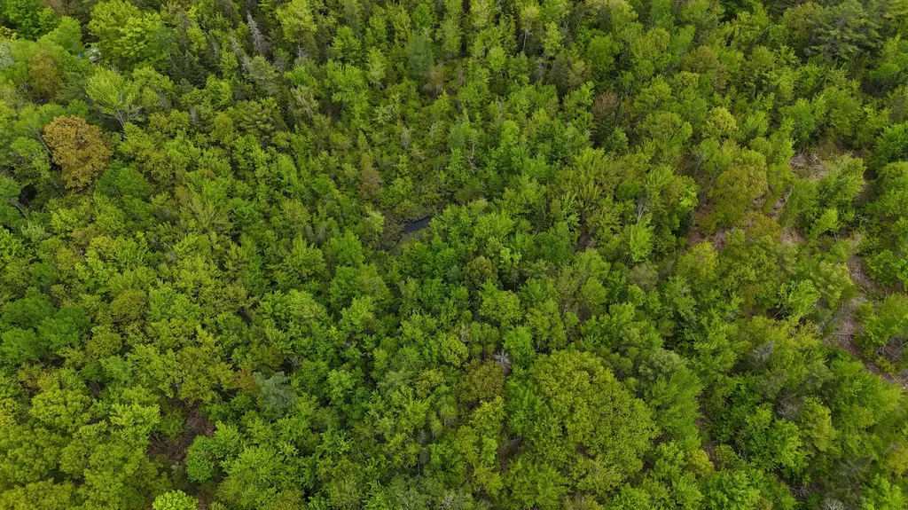 1816 Dexter Road Dover-foxcroft ME 04426