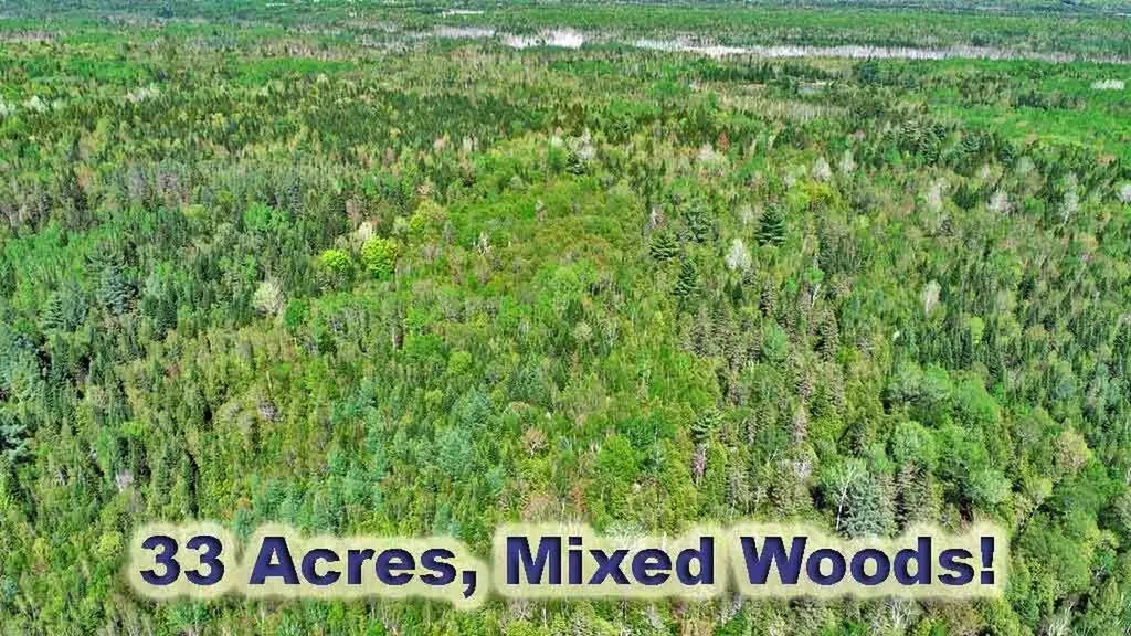 3157 Military Road Haynesville ME 04497