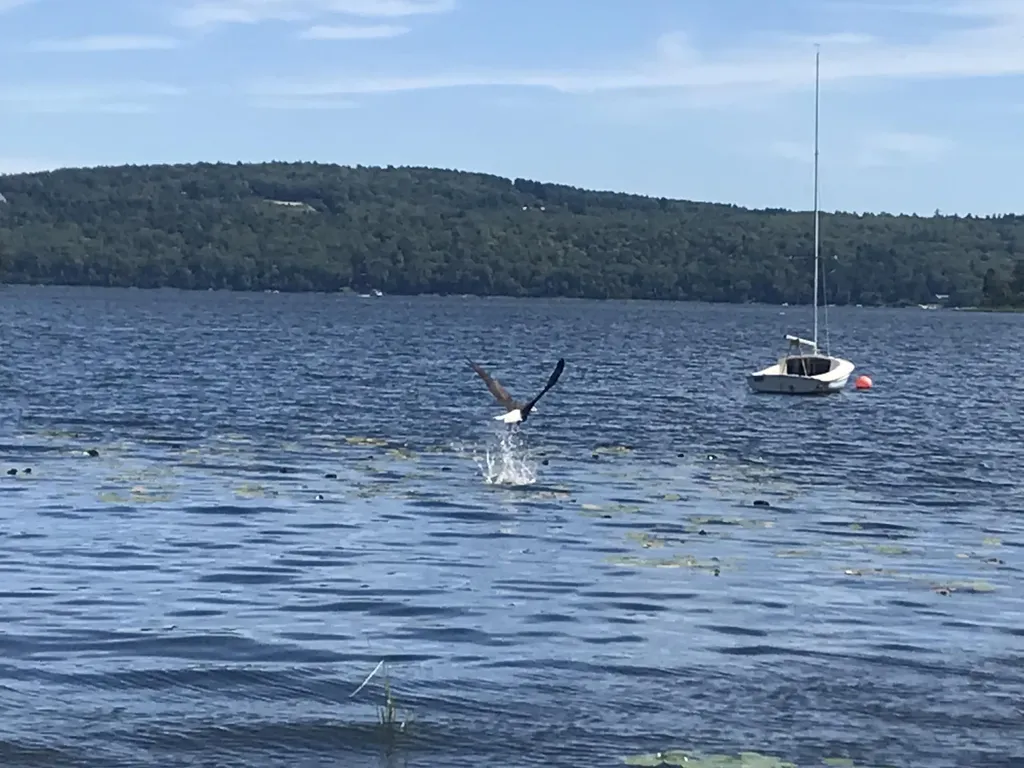34 Androscoggin Loop Leeds ME 04263