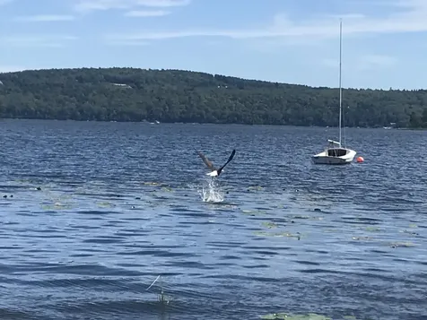 34 Androscoggin Loop Leeds ME 04263