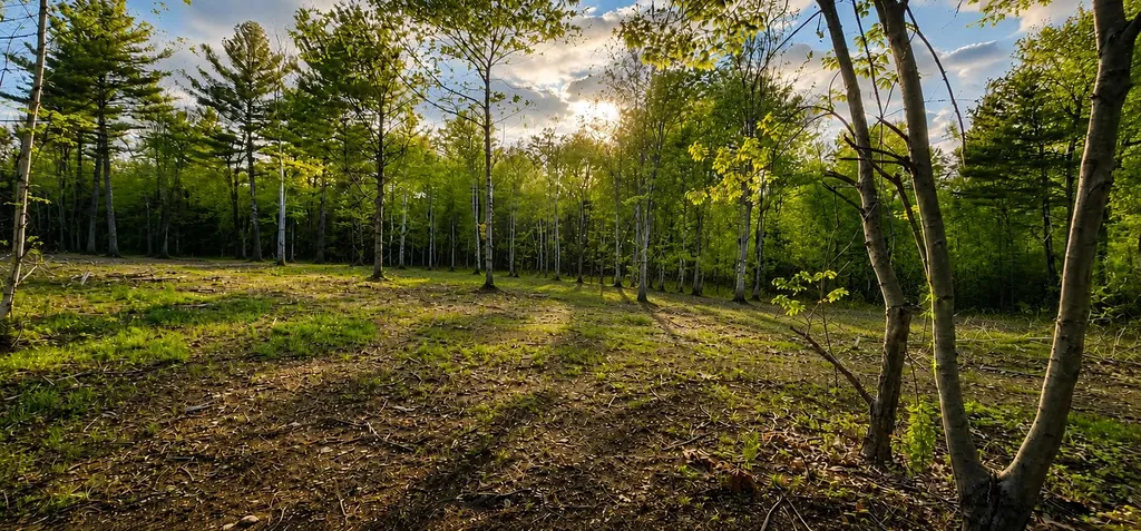 39 Deer Hill Lane Hampden ME 04444