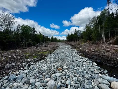 Lot 49 Port Road Machiasport ME 04655