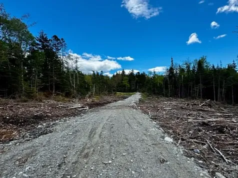 Lot 49 Port Road Machiasport ME 04655