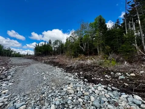 Lot 49 Port Road Machiasport ME 04655