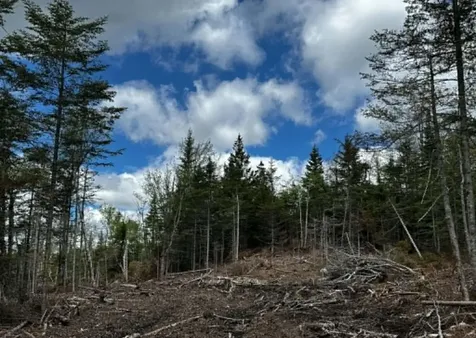 Lot 49 Port Road Machiasport ME 04655