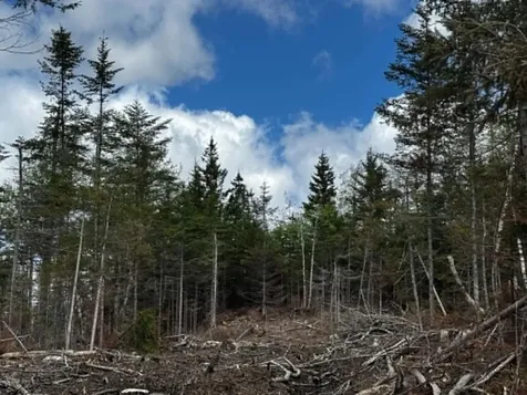 Lot 49 Port Road Machiasport ME 04655