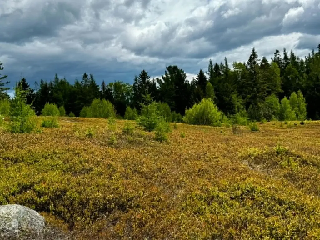 Lot 1 & 2b Elm Street Machias ME 04654