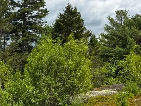Lot 1 & 2b Elm Street Machias ME 04654