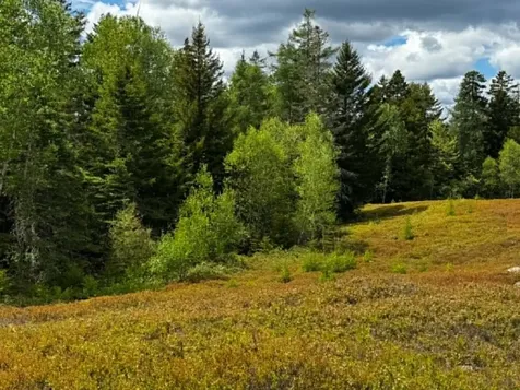 Lot 1 & 2b Elm Street Machias ME 04654