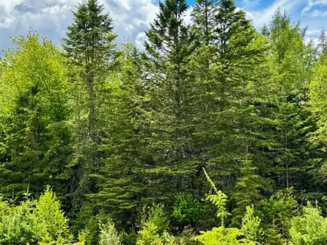 Lot 1 & 2b Elm Street Machias ME 04654