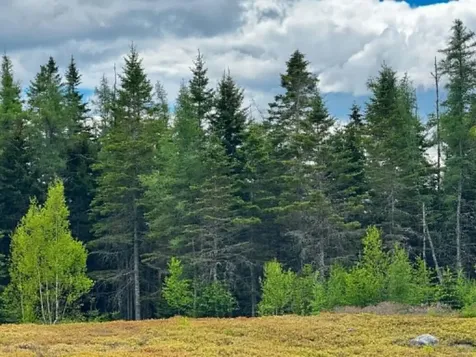 Lot 1 & 2b Elm Street Machias ME 04654