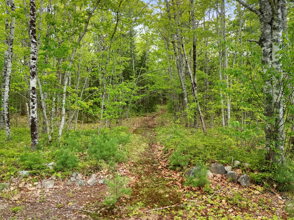479 Niilo Hill Road Warren ME 04864