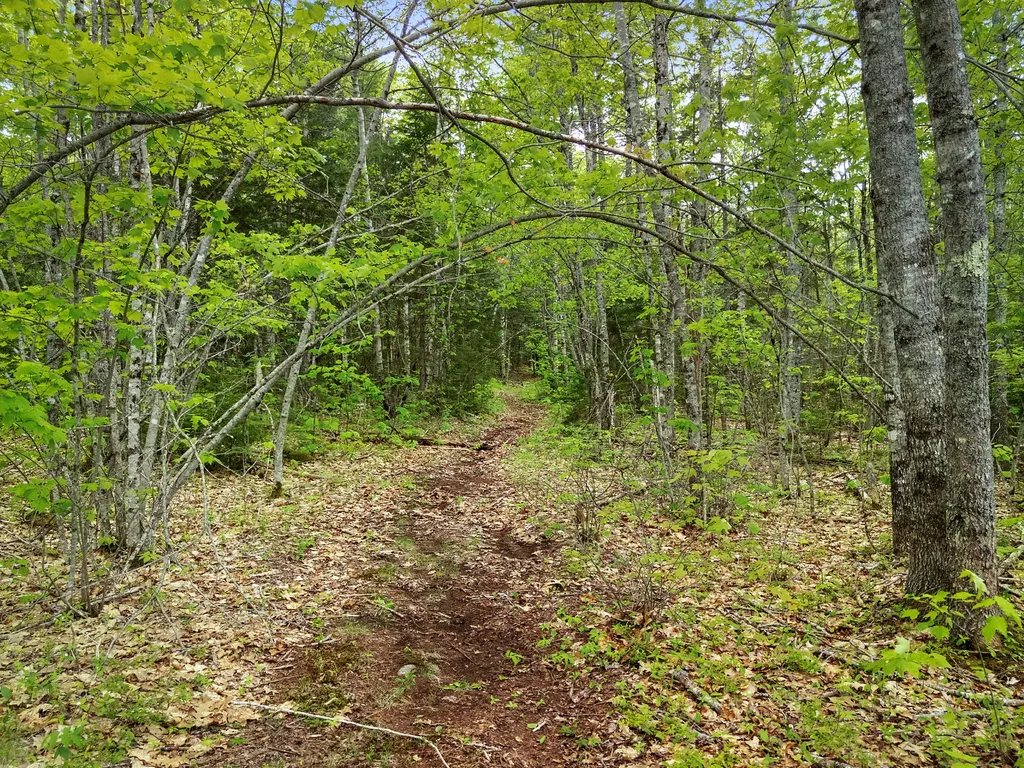 479 Niilo Hill Road Warren ME 04864