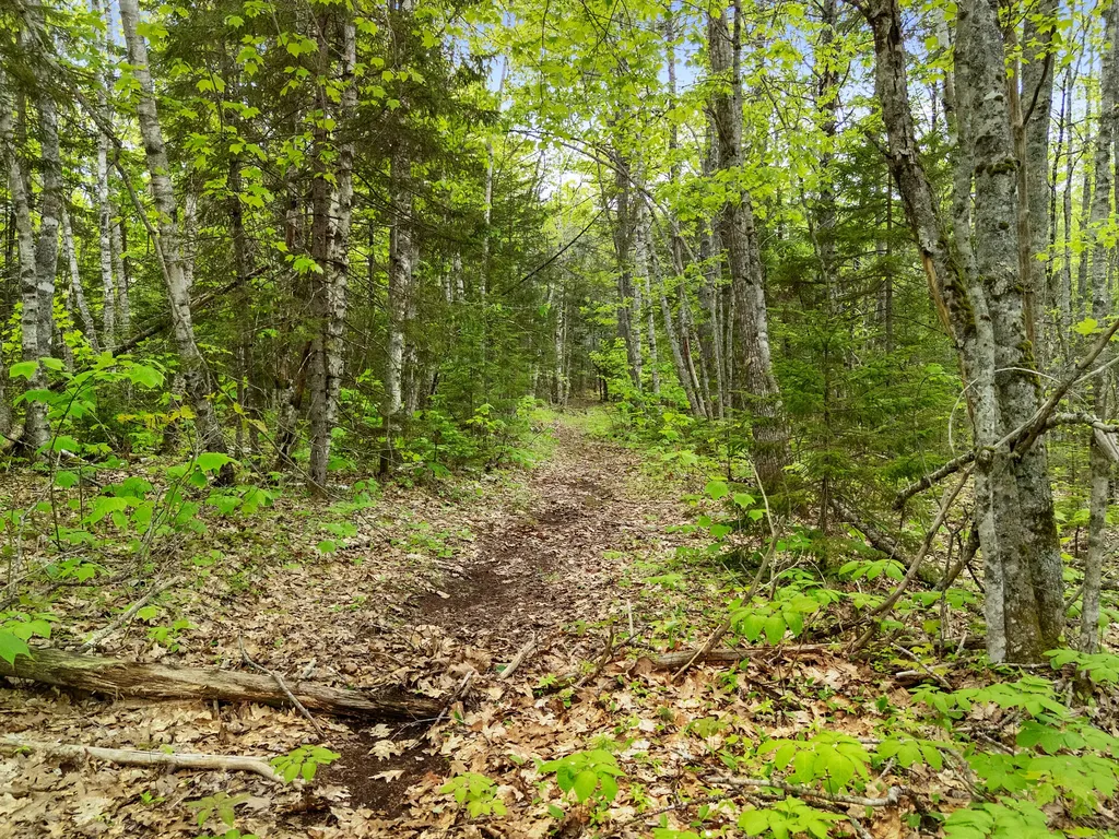 479 Niilo Hill Road Warren ME 04864