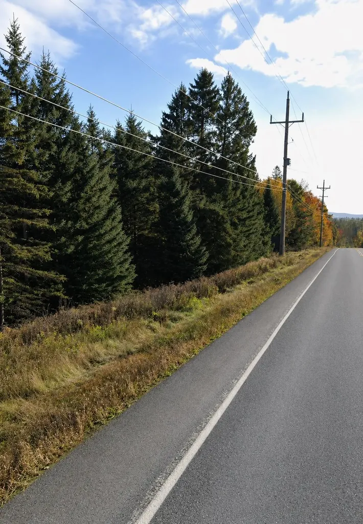 MAP15LOT31 Presque Isle Road Ashland ME 04732
